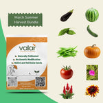 Pack of 10 March sowing Seeds (Summer Harvest)