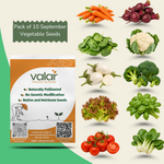 Pack of 10 September Vegetable Seeds