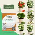 6-in-1 Summer Garden Bundle (Tomato, Spinach, Bitter Gourd, Ridge Gourd, Okra, White Brinjal)