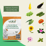 Pack of 10 February sowing Seeds (Summer Harvest)