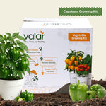 DIY Organic Capsicum Grow Kit