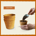 Organic Coco Pots