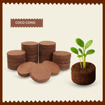 Organic Coco Peat Coins