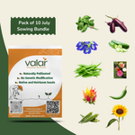 Pack of 10 July Gardening Seeds