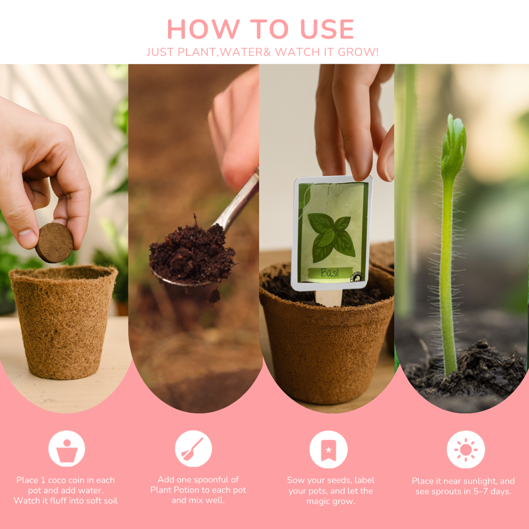 Women's Day Grow Kit