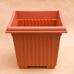 10 inch UV-Treated Square Terracotta/Brown Planters with Tray (Pack of 5)