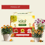 DIY Pongal Celebration Kit