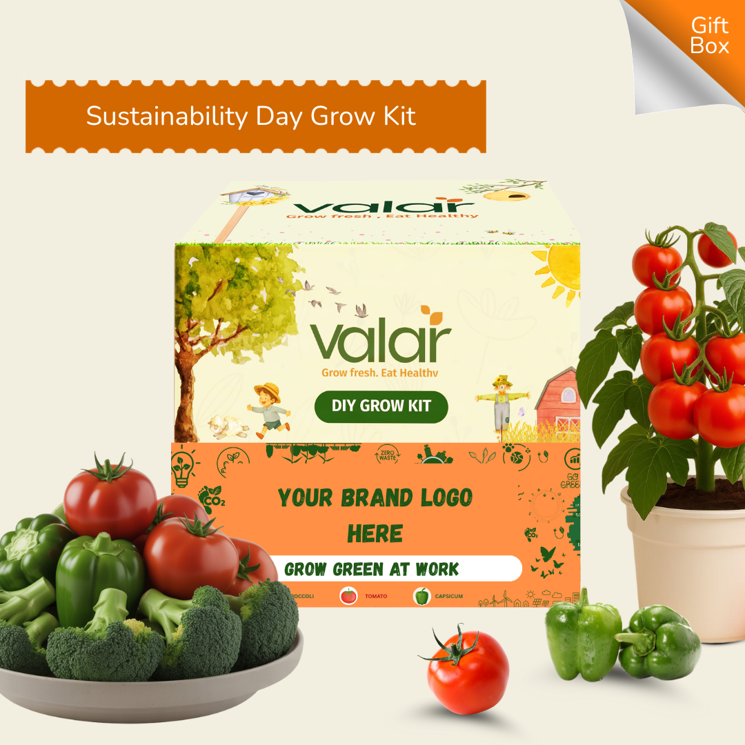 Sustainability Day Grow Kit