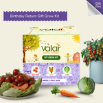Birthday Return Gift Grow Kit