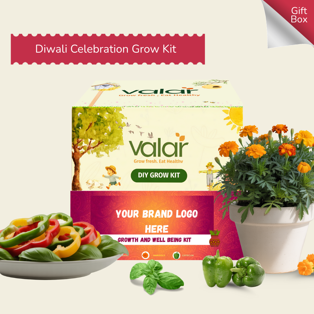 Diwali Gift Kit