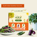 🌿  The South Indian Sambar Garden Hobby Kit