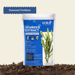 Organic Seaweed Fertilizer for Plants