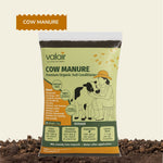 Organic Cow Manure