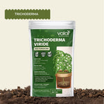 Trichoderma Viride