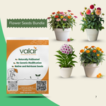 Floral Harmony 4-in-1 Seeds Bundle (Marigold, Mixed Zinnia, Sweet William and Dahlia)