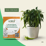 Organic Green Chilli Seeds