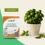 Organic Basil Seeds