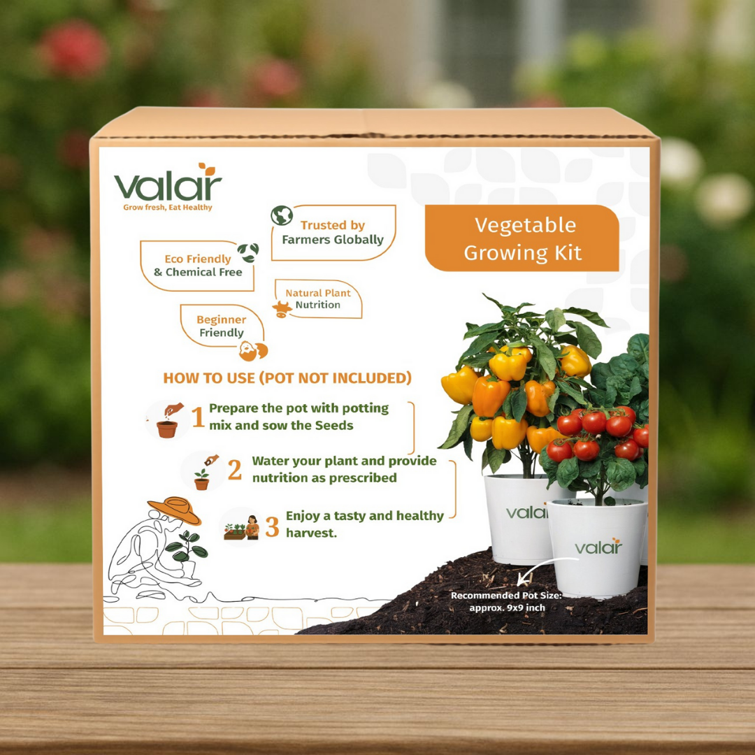 🌱 Valar Tomato Growing Kit | All-in-One Home Gardening Set 🌿 (Pack of 1 - Big) | Reusable Pot + Organic Seeds + Bio-Fertilizers