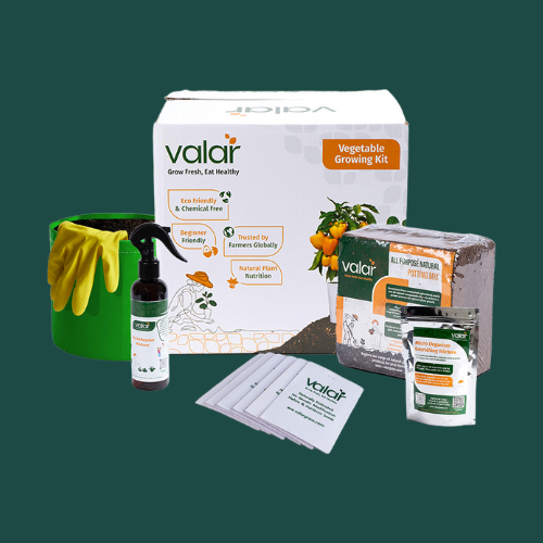 Terrace garden kits