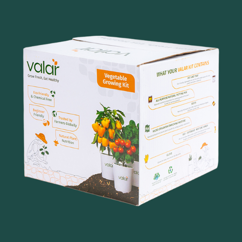 Vegetable Growing Kits