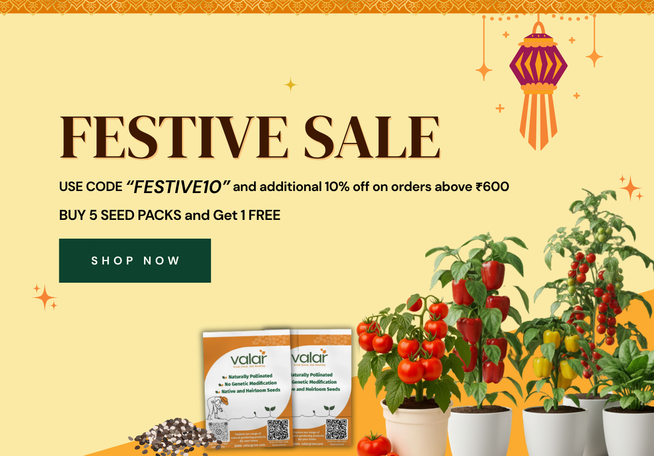 Non GMO Organic Seeds