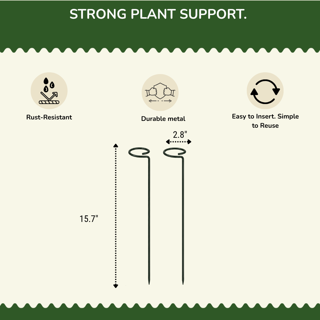 Pack of 10 - 16" Metal Plant Stakes | Heavy-Duty Anti-Rust Mild Steel Support for Climbers & Growing Plants | Black