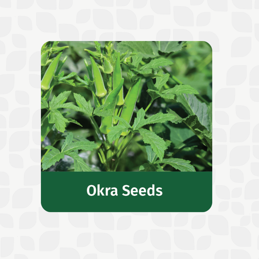Valar Green Okra seeds🌿 | Non-GMO, Slimy Superstars | Bhindi Masala Magic