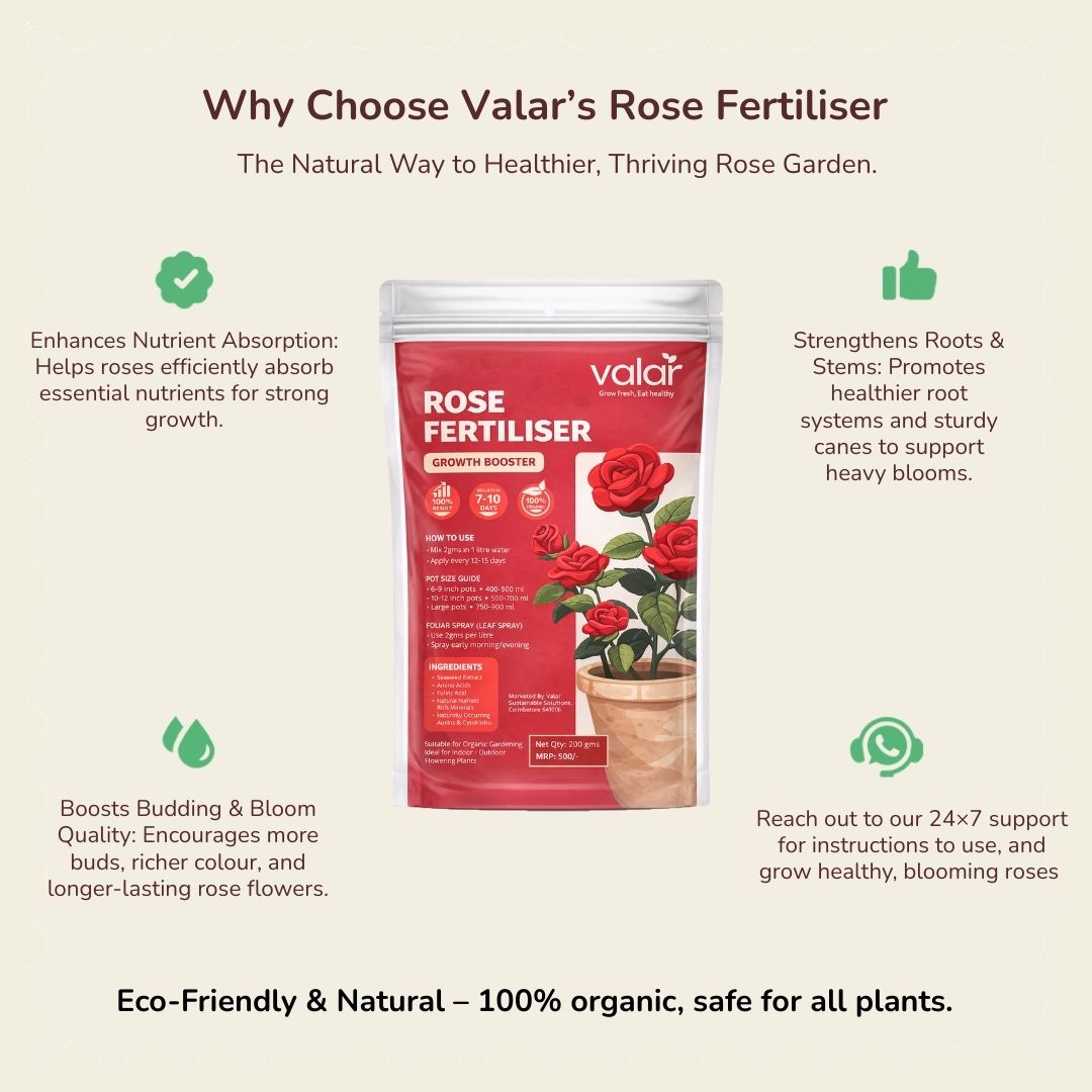 Organic Rose Fertilizer
