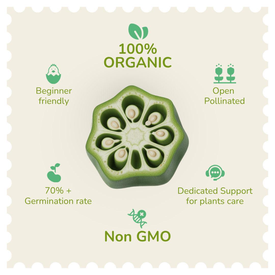 Organic Green Okra seeds