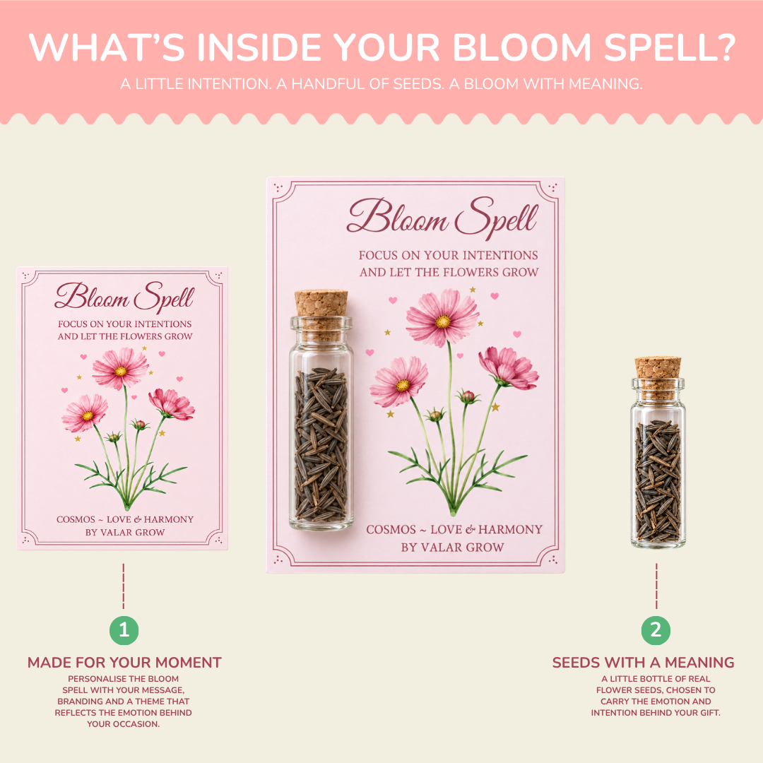 Cosmos Bloom Spell Seed Kit | Eco-Friendly Corporate & Event Gifting Kit | Customisable