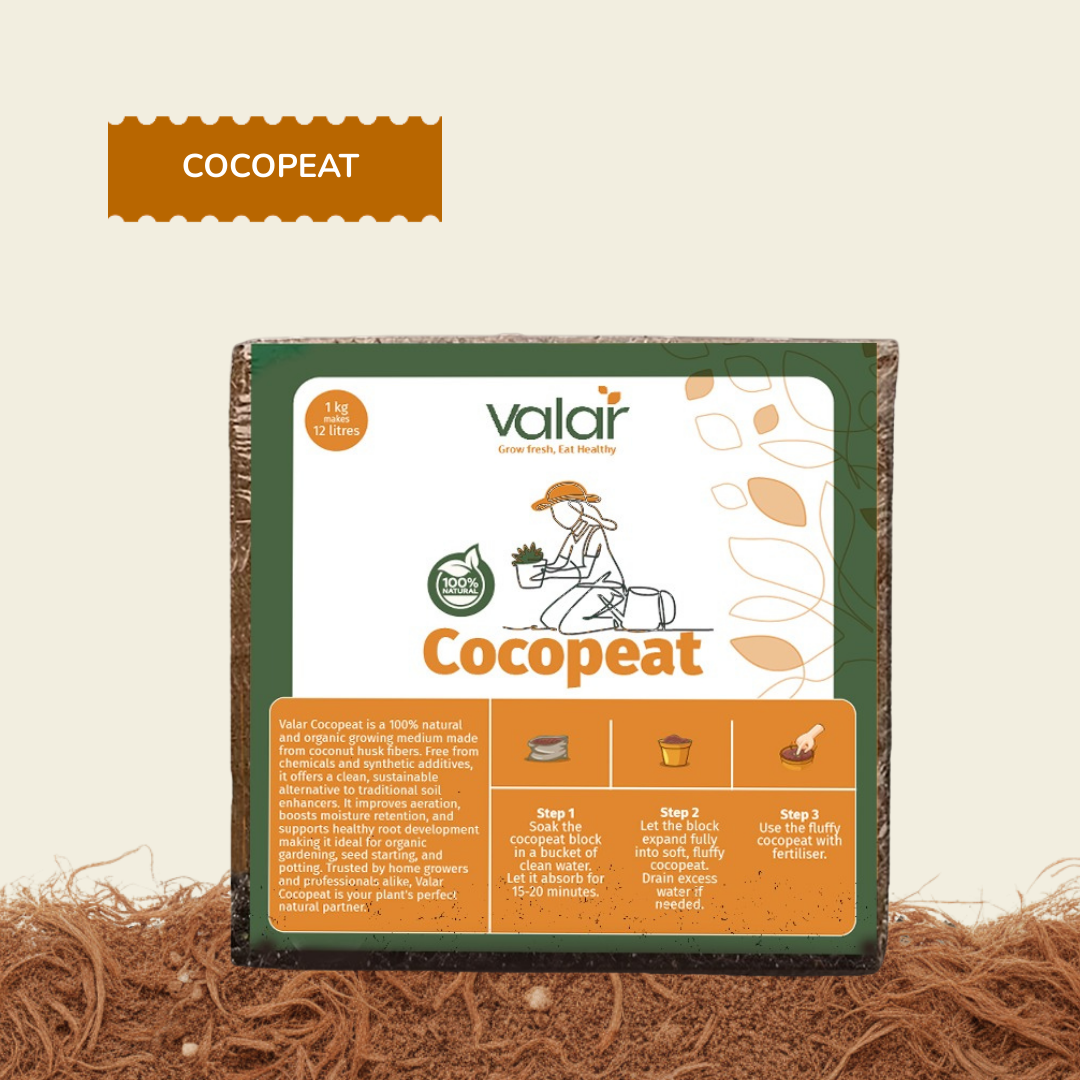 Cocopeat | Natural Growing Medium for Home & Terrace Gardening (1Kg & 5Kg)