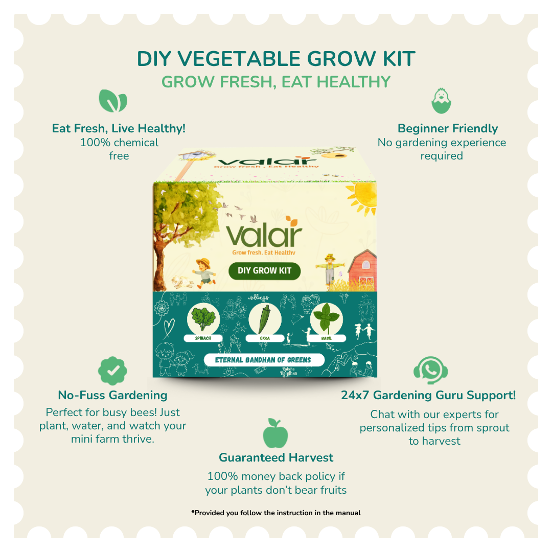 The Eternal Bandhan of Greens Gift Kit