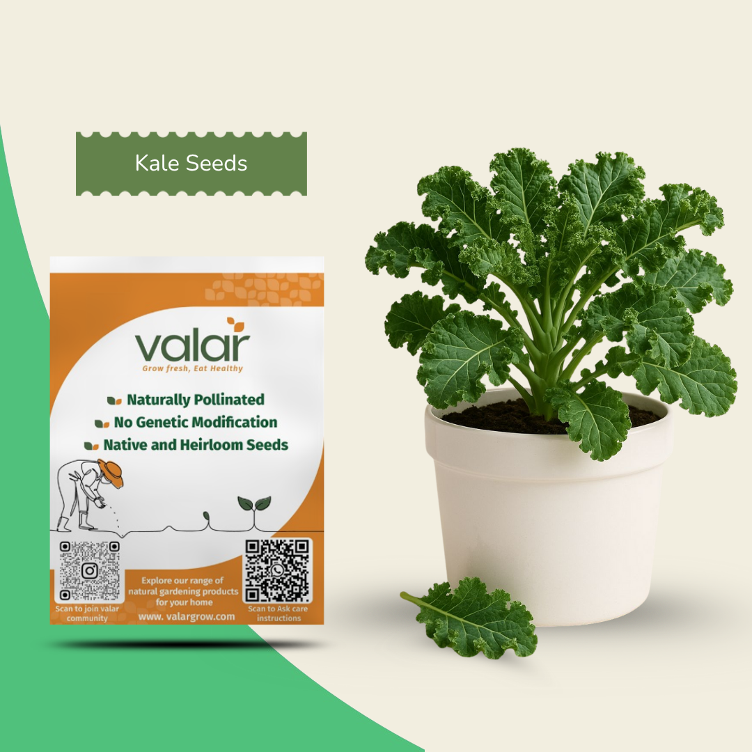 Organic Kale Seeds