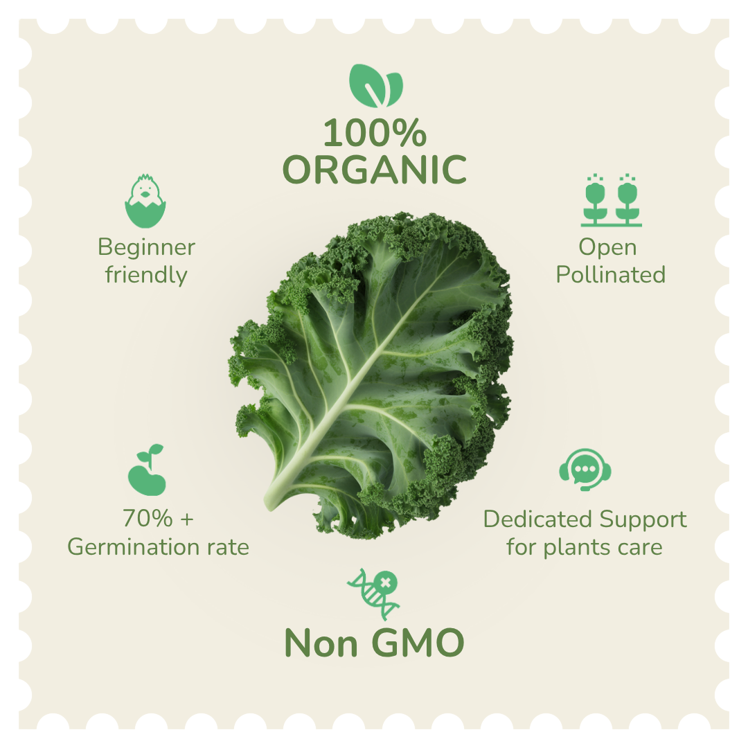 Organic Kale Seeds