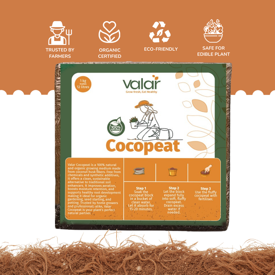 Cocopeat | Natural Growing Medium for Home & Terrace Gardening (1Kg & 5Kg)