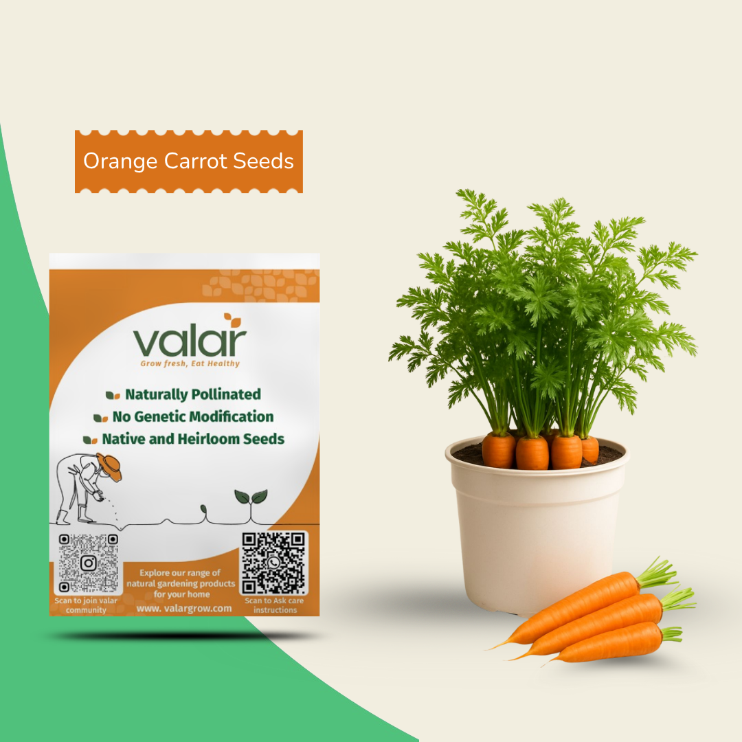 Organic Orange Carrot Seeds
