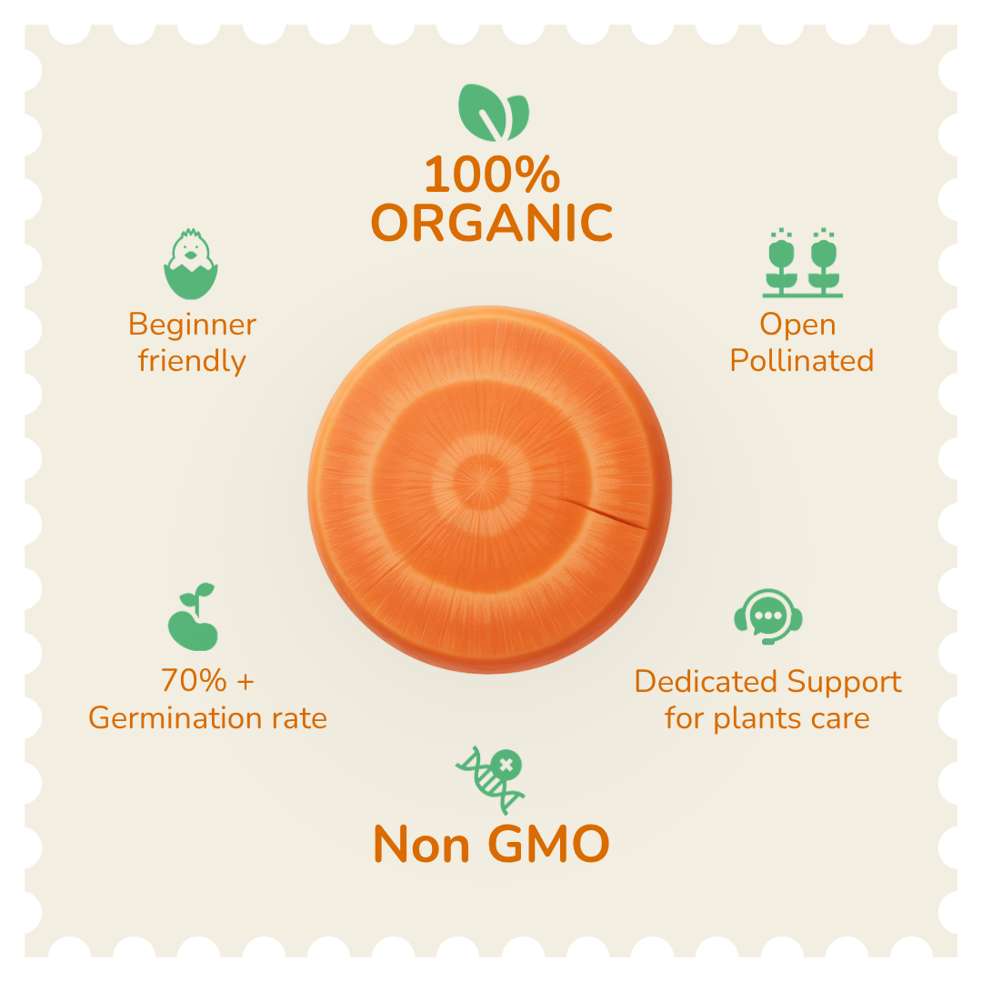 Organic Orange Carrot Seeds