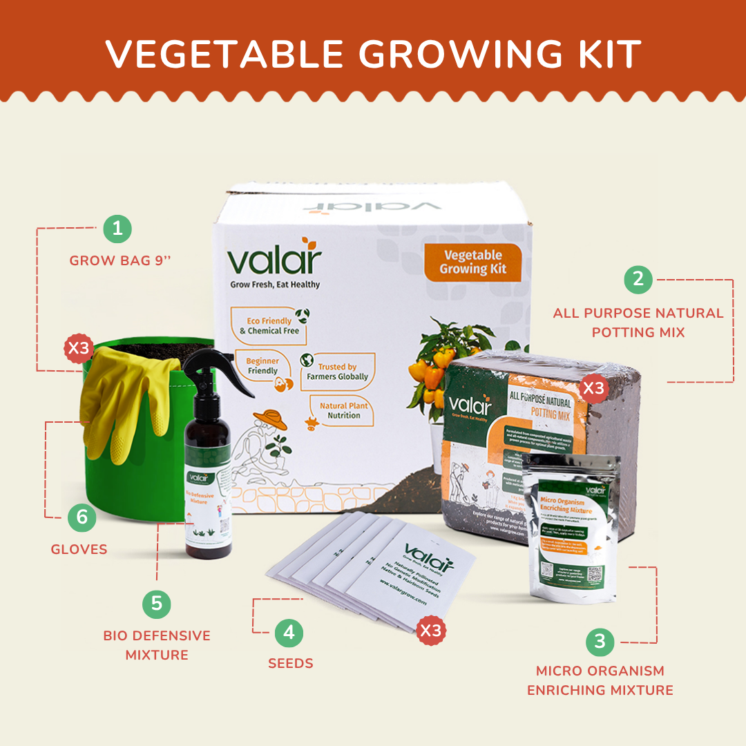🌿 South Indian Sambar Garden Kit