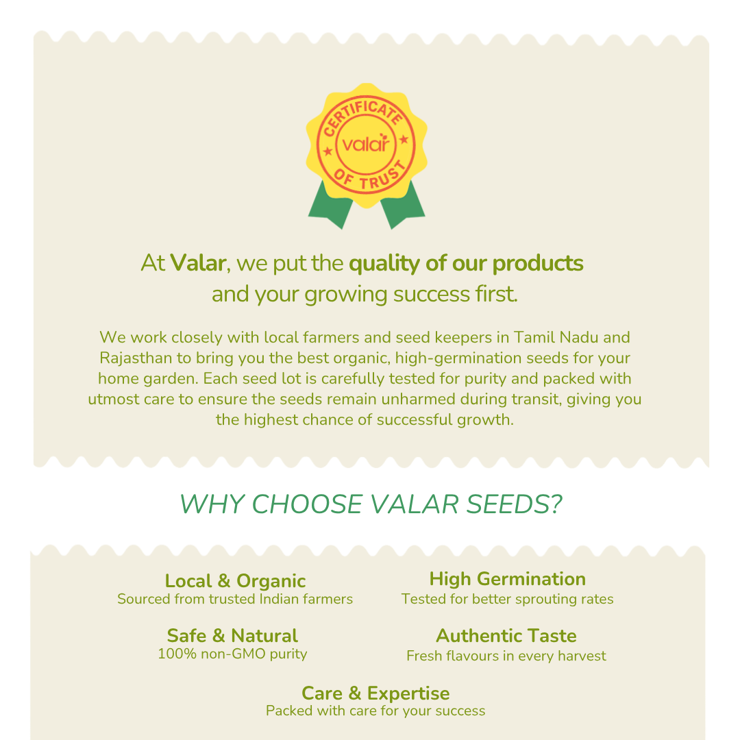 Organic Basil Seeds