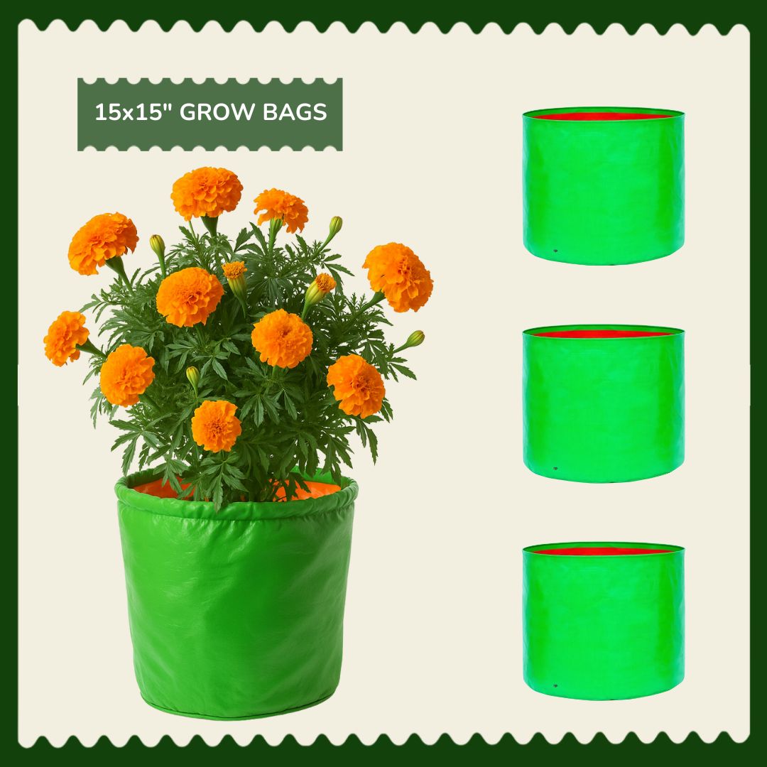 15x15 Inch HDPE Grow Bags | UV-Stabilized, Reusable Planter Bags