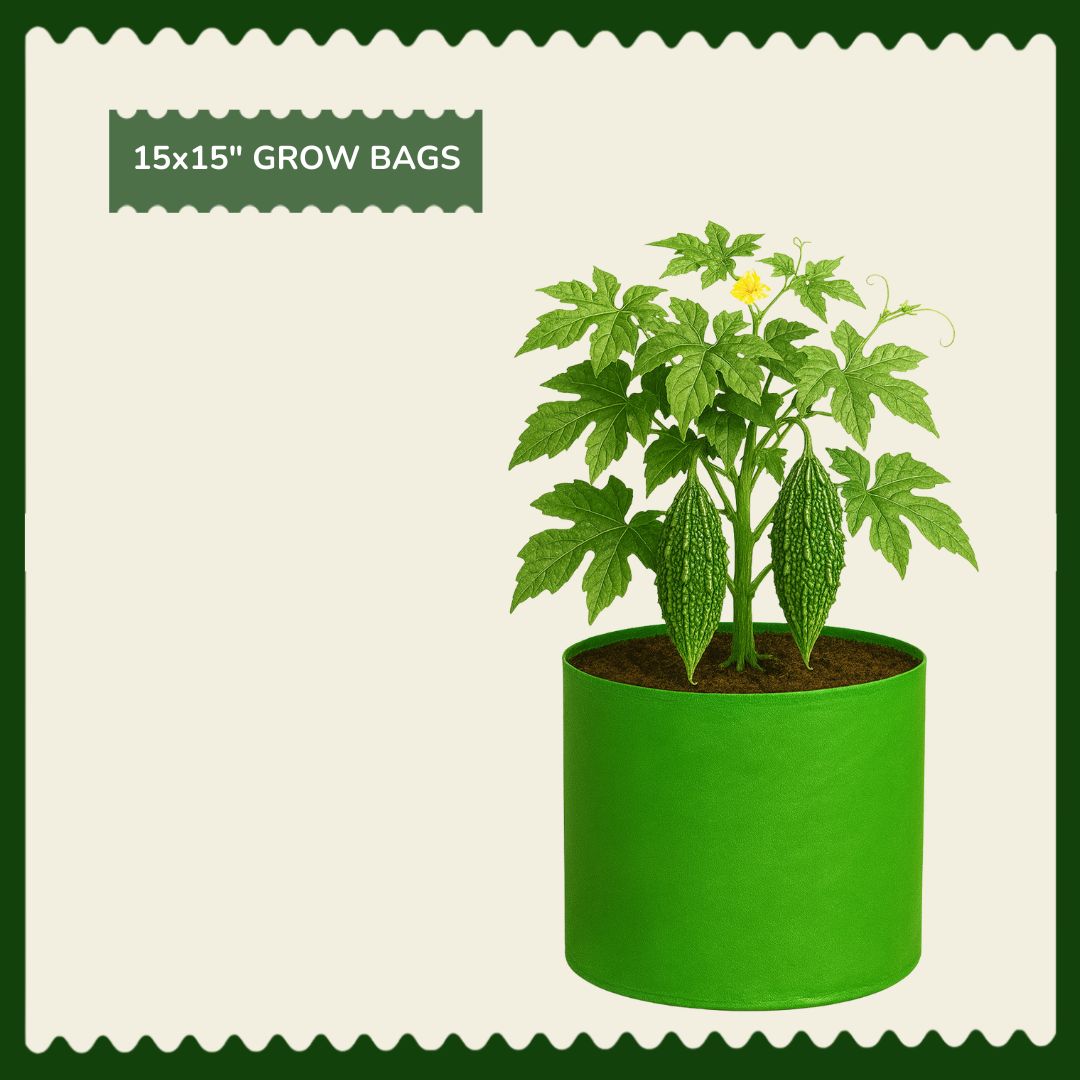 15"x15" HDPE Grow Bags for Gourds, Root Vegetables | UV-Stabilized, Reusable Planter Bags | 230 GSM