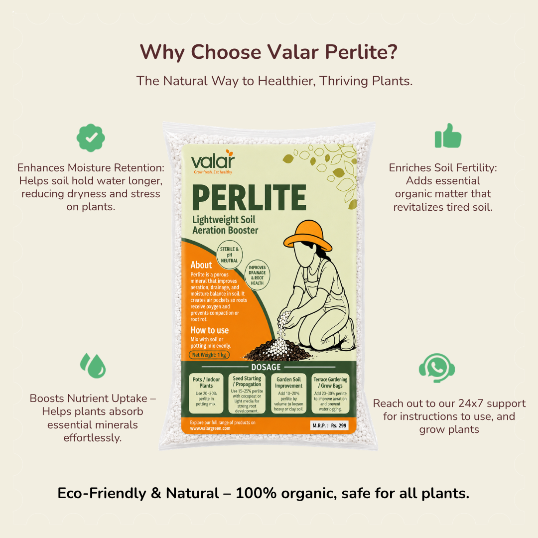 Perlite 250gms