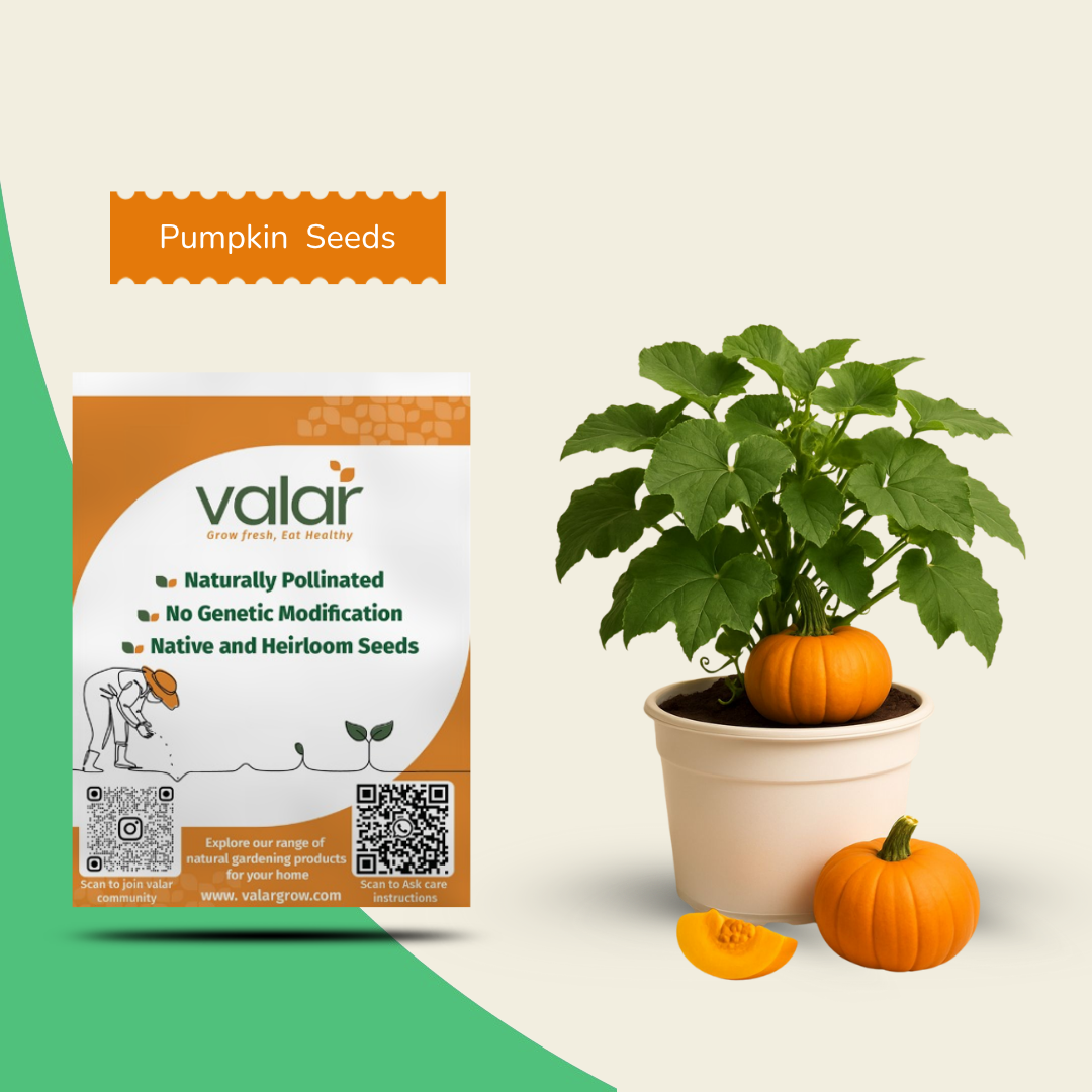 Organic Pumpkin Seeds