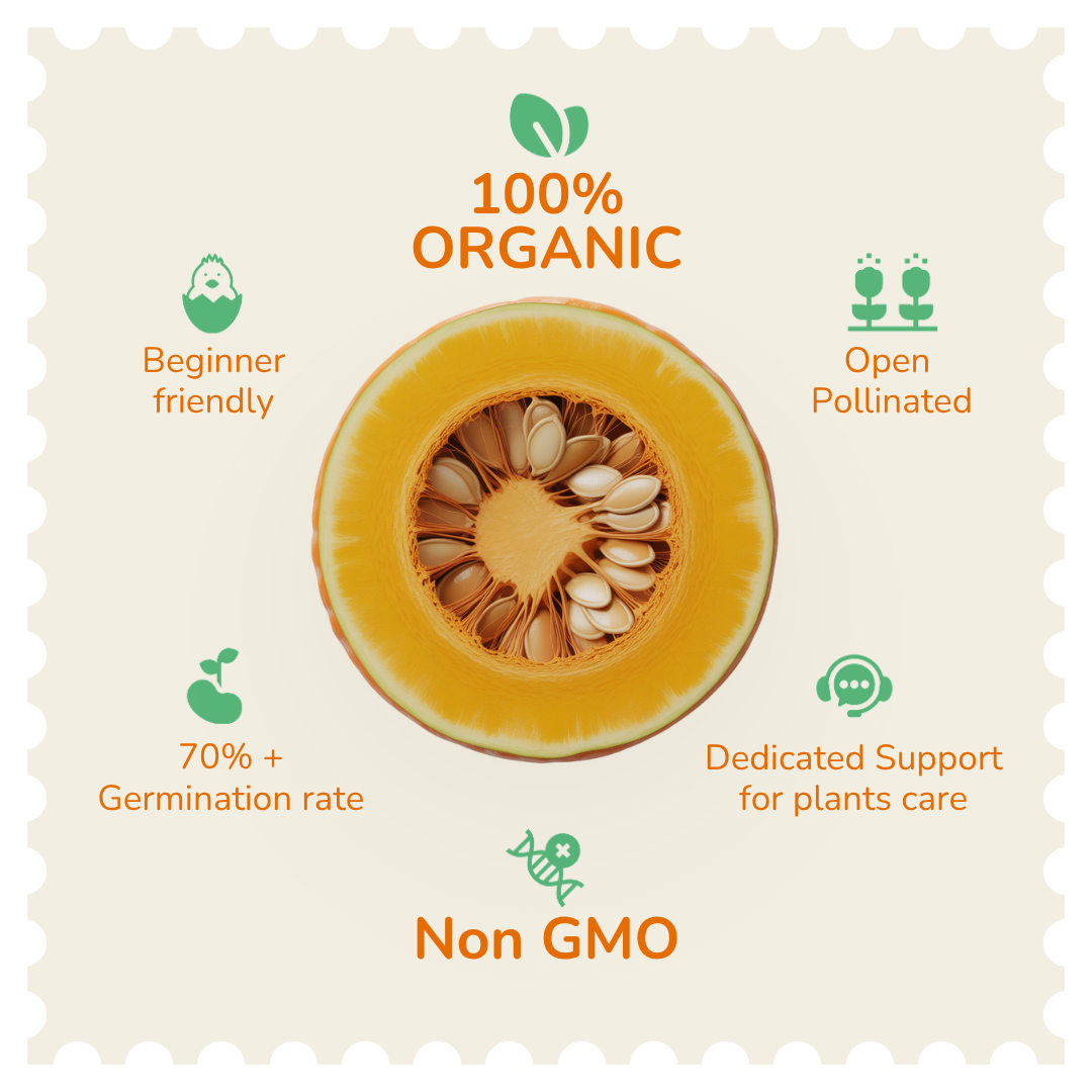 Organic Pumpkin Seeds