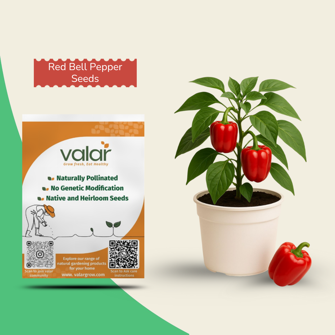 Organic Red Bell Pepper