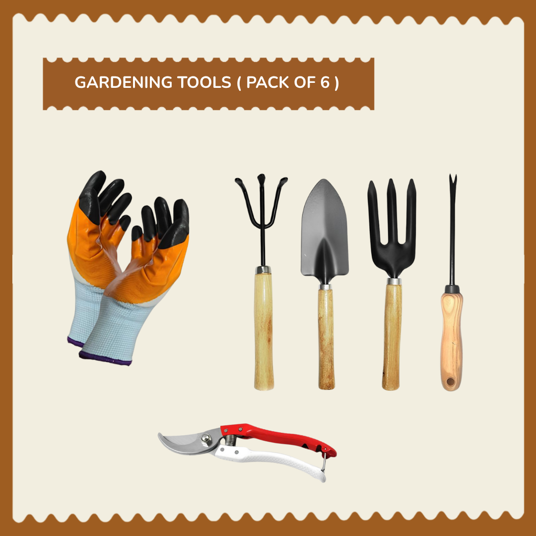🌱 Gardening Essential Tool Kit – Grow Your Own Fresh Veggies with Ease! 🌿🥕