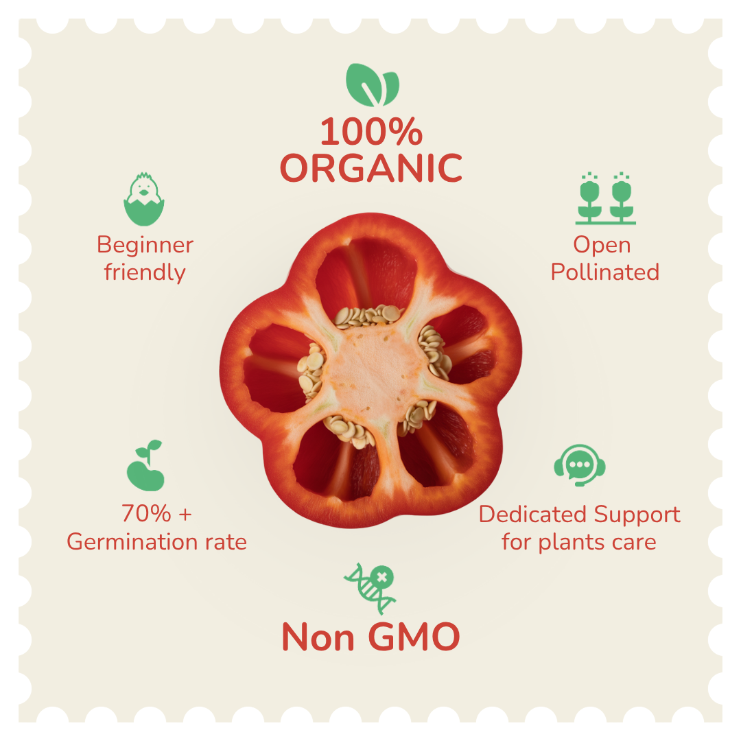 Organic Red Bell Pepper