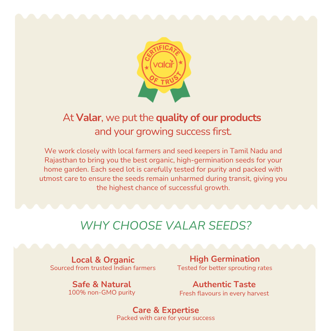 Yellow Habanero Pepper (Mexican) Seeds