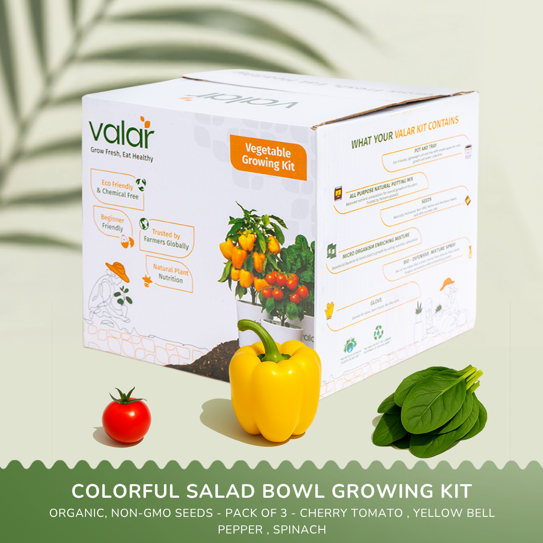 🌿The Colorful Salad Bowl Kit