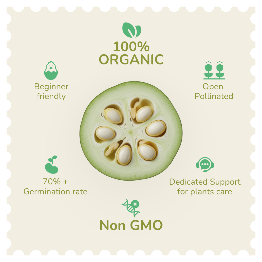 Organic Snake Gourd